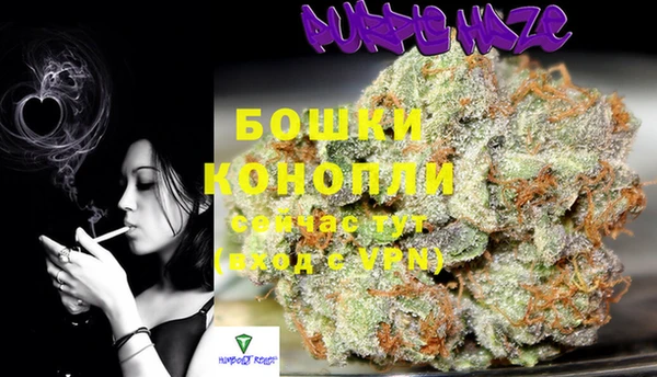 бошки Новозыбков