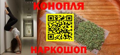 мдпв Бийск