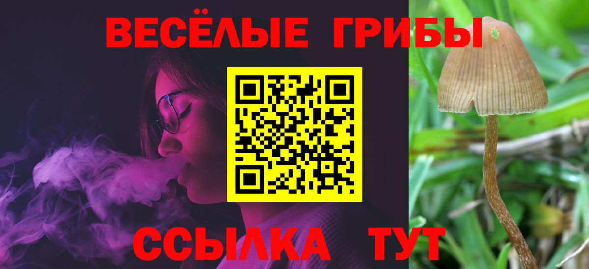 Псилоцибиновые грибы Psilocybe  Галлюциногенные грибы MAGIC MUSHROOMS  Мирный 